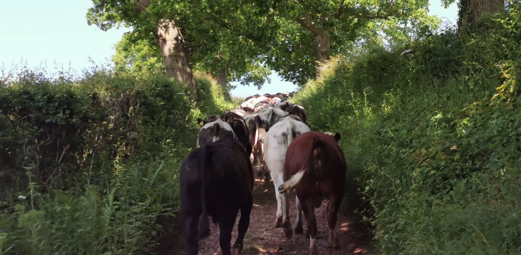 A farming family at Teddington's Farm Shop